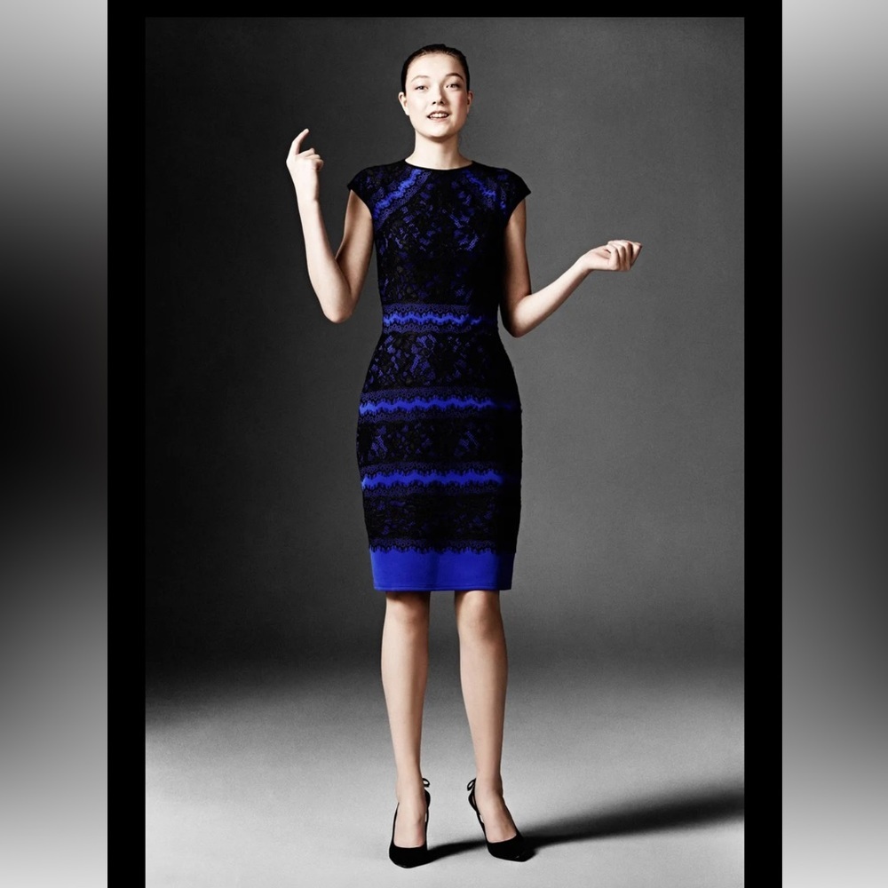 Tadashi Shoji Lace Cocktail Dress Short Sleeve Sheath Pencil Skirt Color Block 2 - Picture 2 of 16
